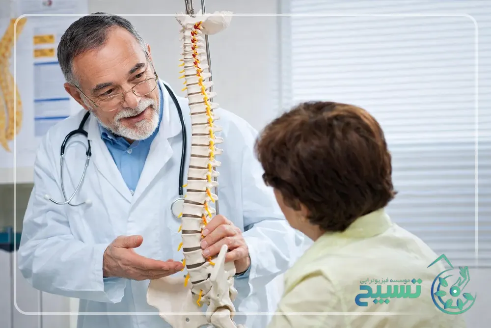 بخش های محتلف ستون فقرات