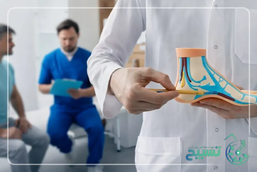 آناتومی مچ پا و کف پا