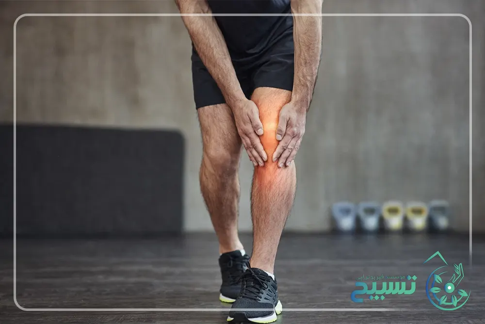 عملکرد زانو